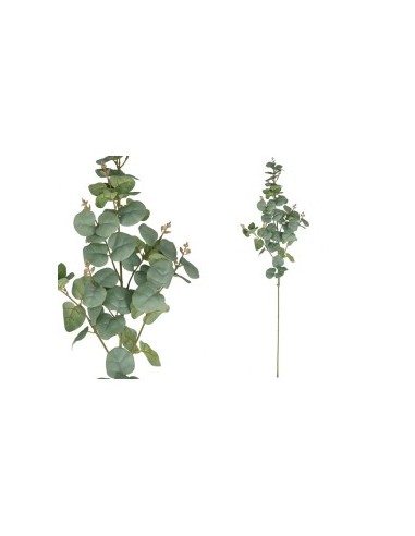 VARA EUCALIPTO 60 LVS  90CM (VE