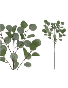 VARA EUCALYPTUS REAL TOUCH X 5