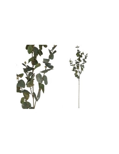 VARA EUCALIPTO 64 LVS  105CM (V