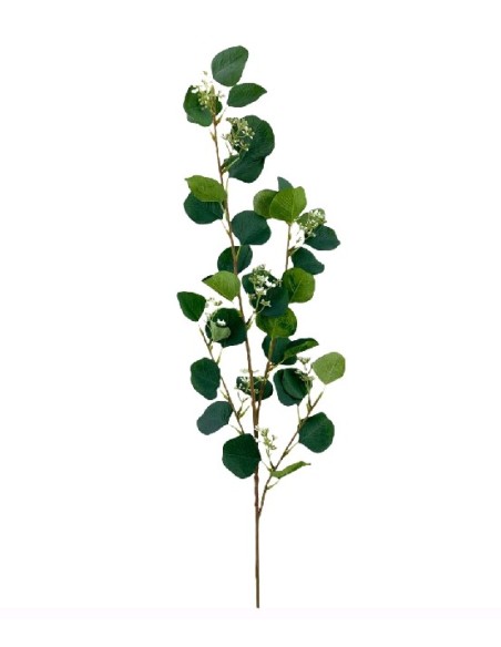 H.EUCALIPT/SEMILLA VERDE 110cm (G685-1)