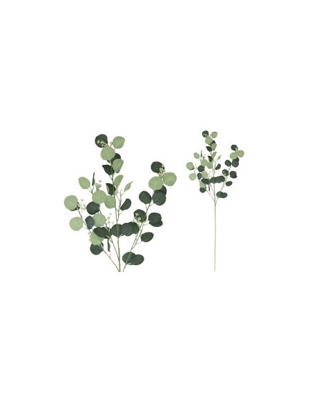 VARA EUCALIPTO X4 X40-105CM (VERDE)