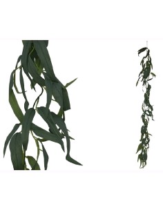 GUIRNALDA EUCALYPTUS LONG 10