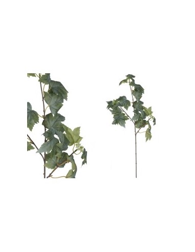 VARA HOJA PARRA X 20 -78 CM (VERDE/C)