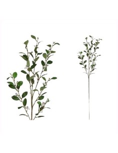 VARA EUCALIPTUS X 6-108 CM