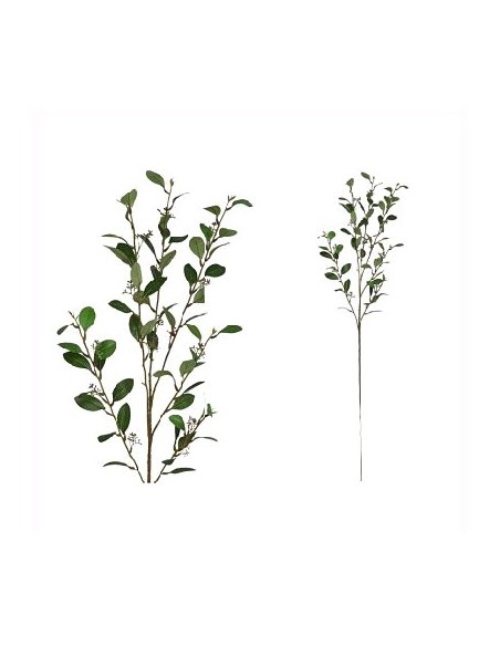 VARA EUCALIPTUS X 6-108 CM