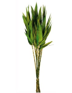 CAÑAS HOJAS 90 cms. VERDE (67)