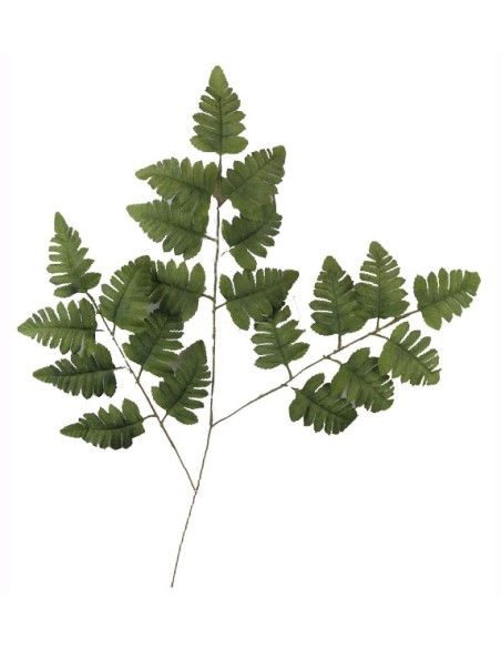 HOJA HELECHO OTO¥ X3 UNICO