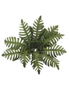 MATA PALMERA OTOÑAL X10