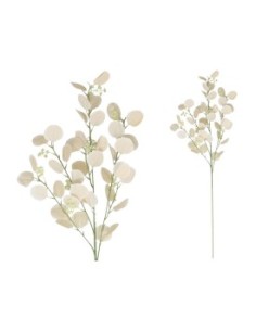 VARA EUCALIPTO X4 X40-105CM (BEIGE)