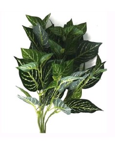 RAMO POTHOS VERDE BLANCO x7