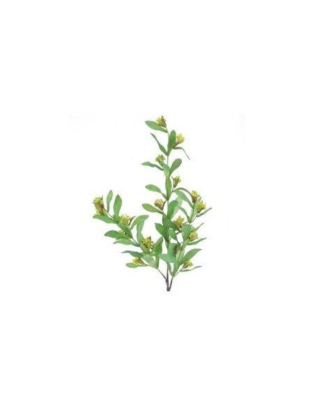 PISTACIA VERDE (9756-09)