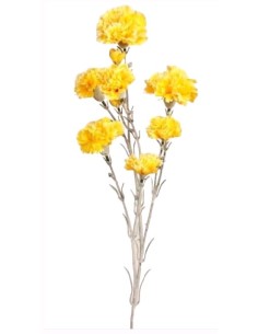 VARA CLAVEL X 7 AMARILLO