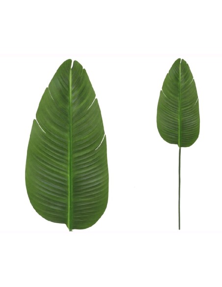 VARA HOJA PLATANERO R/TOUCH