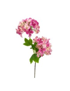 R.HORTENSIA X2 ROSA 56cm(10cm