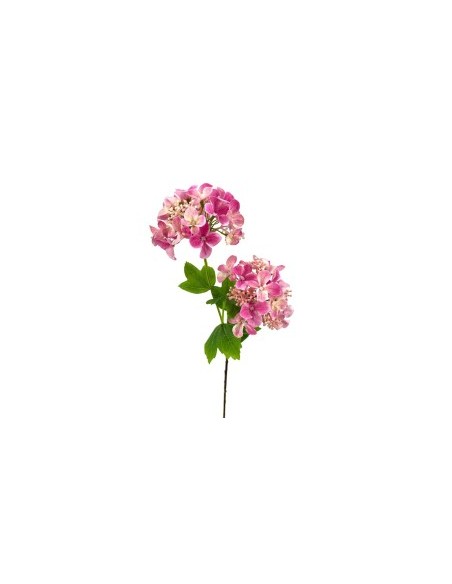 R.HORTENSIA X2 ROSA 56cm(10cm