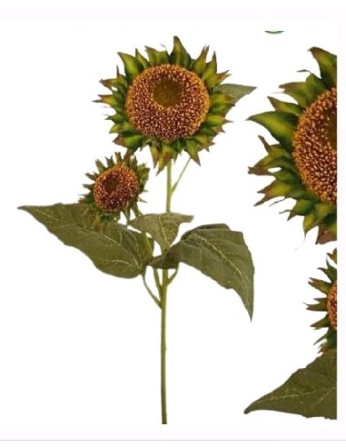 HASTE BOTOES GIRASSOL X2