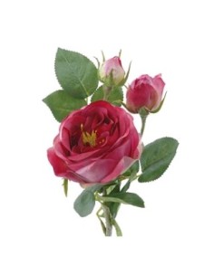 ROSA EN BROTE FUCSIA