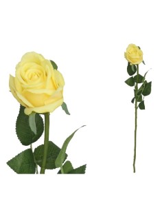 VARA ROSA NATURAL R/TOUCH-61