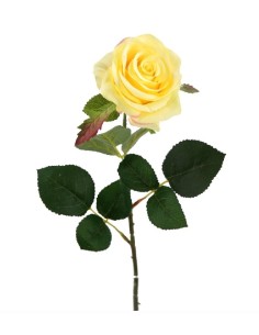 ROSA X1 AMARILLA 65CM(8CM) (G