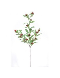 PISTACIA ROJO (9756-08)