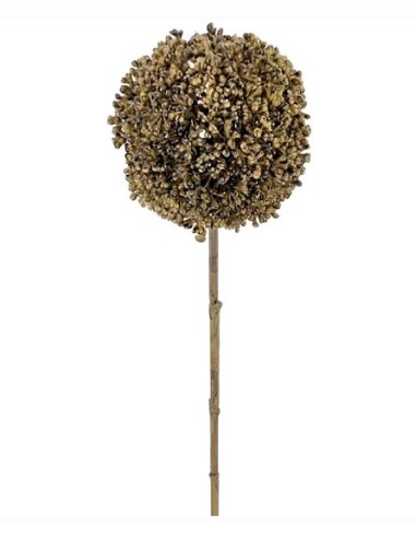 ALLIUM 66 CMS VERDE (2029-09)