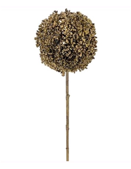 ALLIUM 66 CMS VERDE (2029-09)