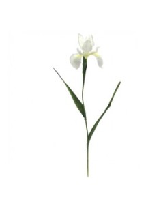 IRIS 78 CMS (2046-01)