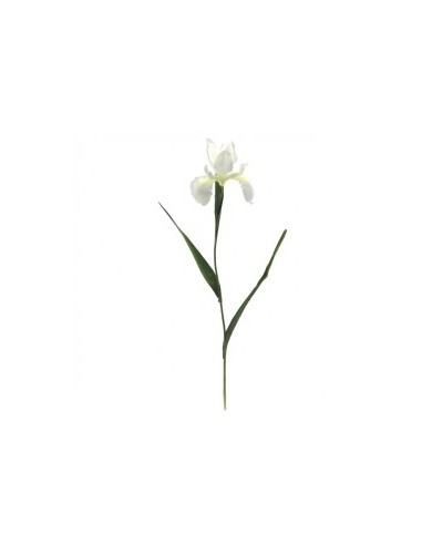 IRIS 78 CMS (2046-01)