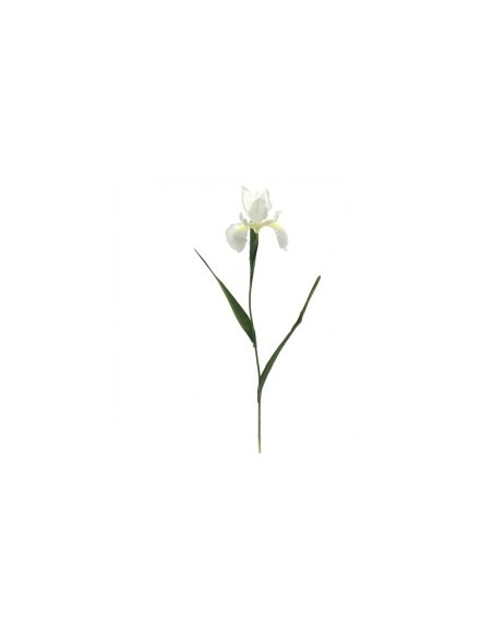 IRIS 78 CMS (2046-01)