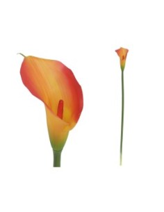 VARA CALA LATEX-72 CM (TE)