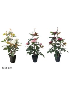 MACETA ROSAL 60 CM (S)