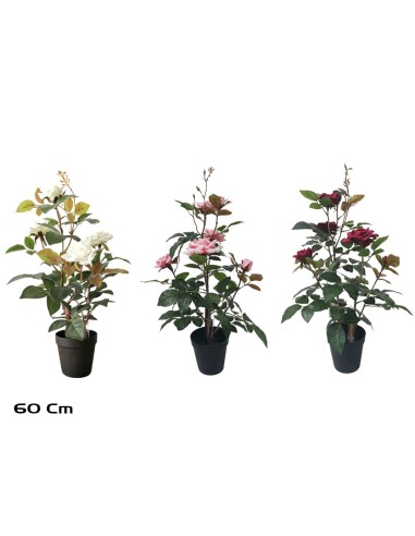 MACETA ROSAL 60 CM (S)