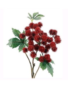 R. CASTOR X35 ROJO 53 CM