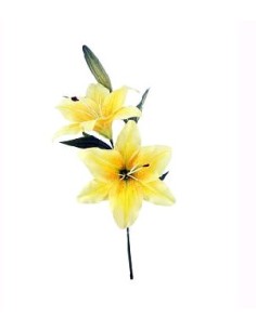 LILY X2 AMARILLO 67CM (15CM)