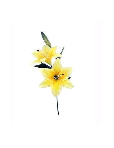 LILY X2 AMARILLO 67CM (15CM)