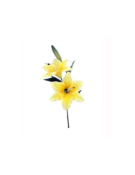 LILY X2 AMARILLO 67CM (15CM)