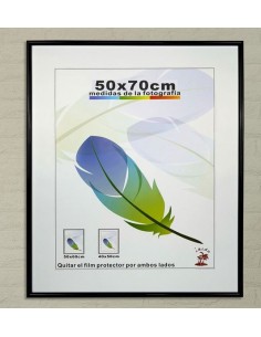 MARCO FACIL NEGRO PVC-510 50X70CM (4/8)