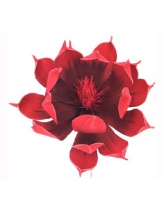 MAGNOLIA FOAM ROJO (7640-08)