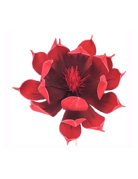 MAGNOLIA FOAM ROJO (7640-08)