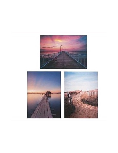 CUADRO CAMINO DECORACION 3 SURT 50X70 CM