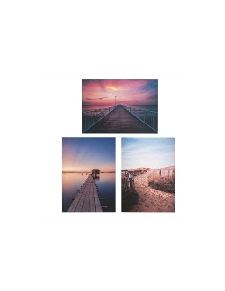 CUADRO CAMINO DECORACION 3 SURT 50X70 CM