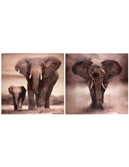 CANVAS ALTO BRILLO ELEFANTE 2 SURT 60X60X2,5 CM