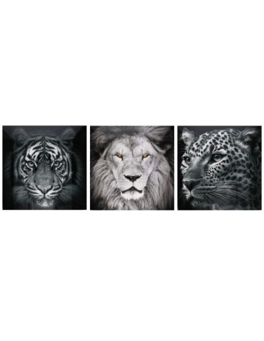CANVAS ALTO BRILLO ANIMALS 3 SURT 60X60X25 CM