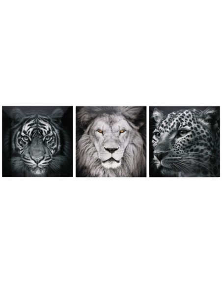 CANVAS ALTO BRILLO ANIMALS 3 SURT 60X60X25 CM