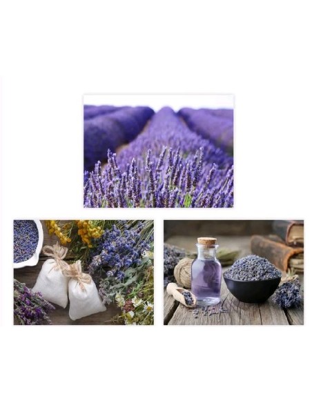 CUADRO FOTOIMPRESIÓN 3/M LIENZO 30 X 1,50 X 40 CM