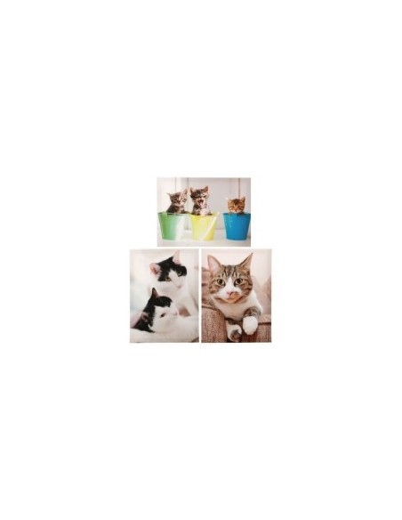CUADRO CATS 30X40X1,5CM 3 SURT.