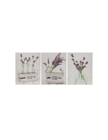 CUADRO RAMO 3 SURTIDOS 30X40X1,5 CM