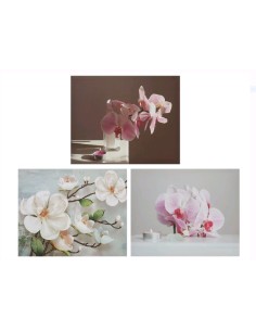 CUADRO ORCHID 40X50X1,8CM 3 SURT.