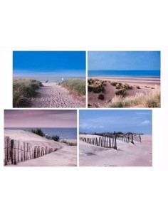 CUADRO DUNAS 40X50 SURTIDO