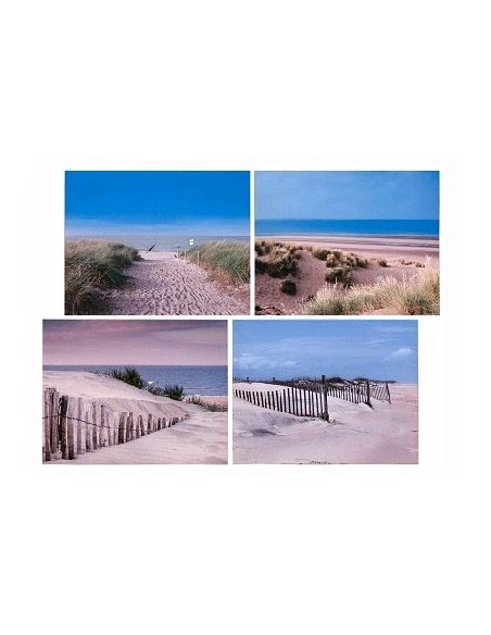 CUADRO DUNAS 40X50 SURTIDO